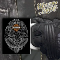 moto, bike, мото, мотоцикл